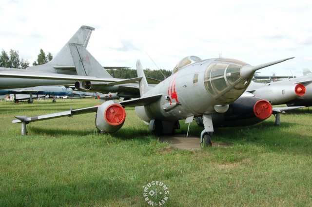 yak27rmangrove.jpg