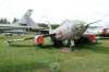 yak27rmangrove_small.jpg