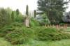 memorialandgraves_small.jpg