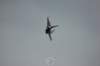 f1610_small.jpg