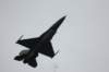 f1611_small.jpg