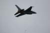 f1612_small.jpg
