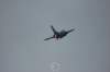 f1613_small.jpg