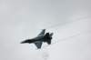 f1614_small.jpg