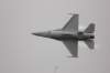 f168_small.jpg