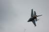 f169_small.jpg