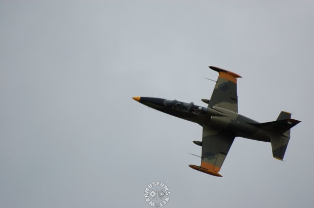 l395.jpg