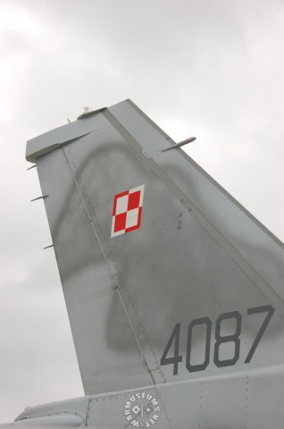 polishf16tail.jpg