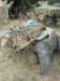 britishbicycle_small.jpg