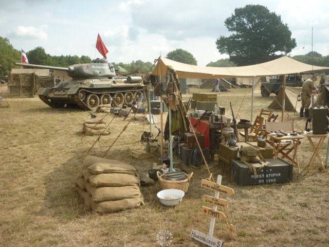 t3485.jpg